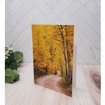 Barbara Mertz "Aspen Splendor" - Blank Notecard