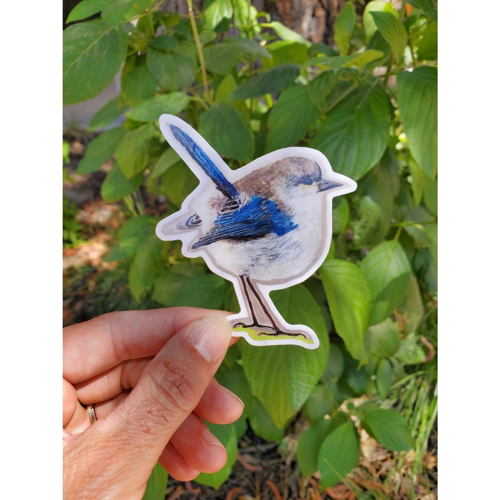 Bethany Lund Bird Sticker - "Fairies Wear Boots"