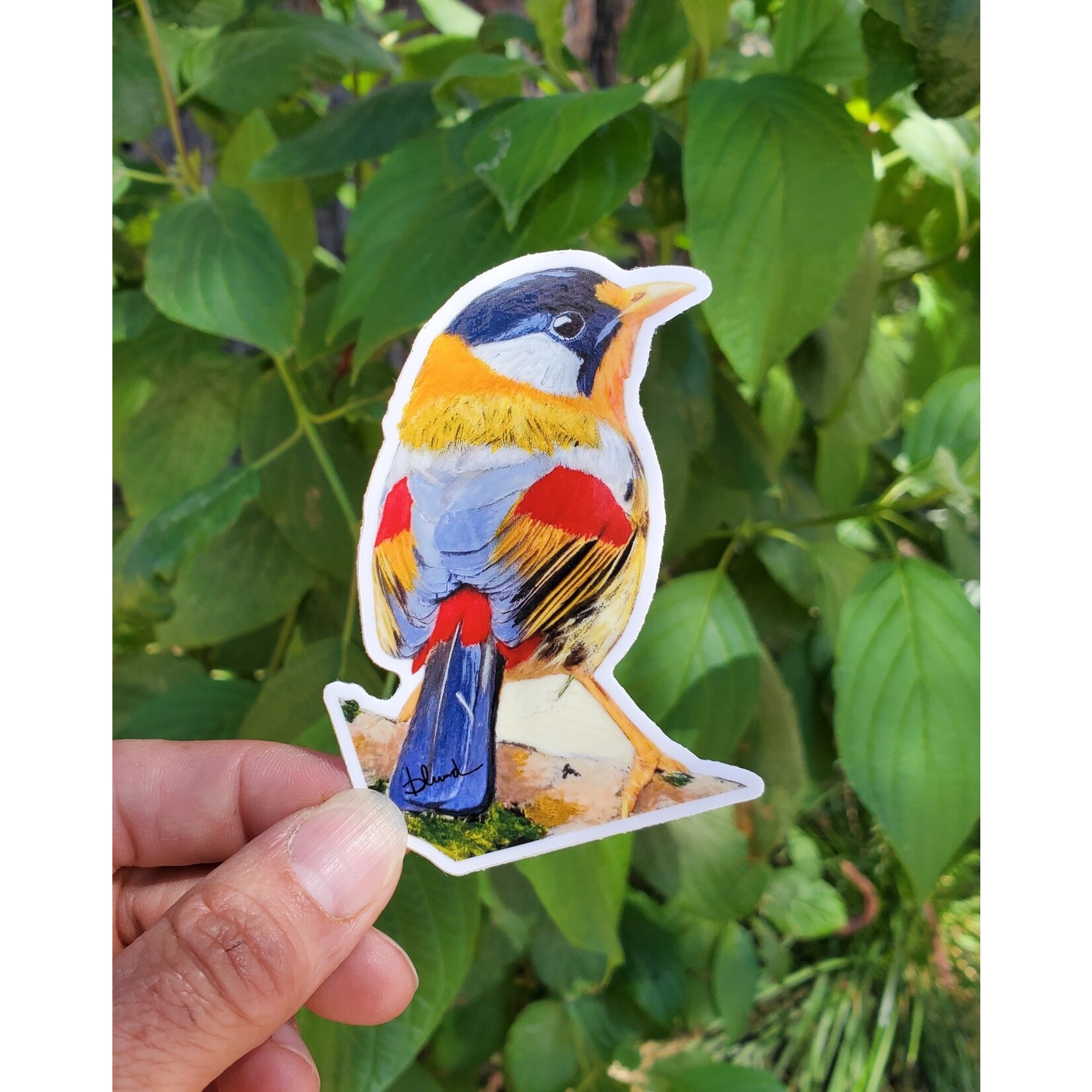 Bethany Lund Bird Sticker - "Gold Throat"