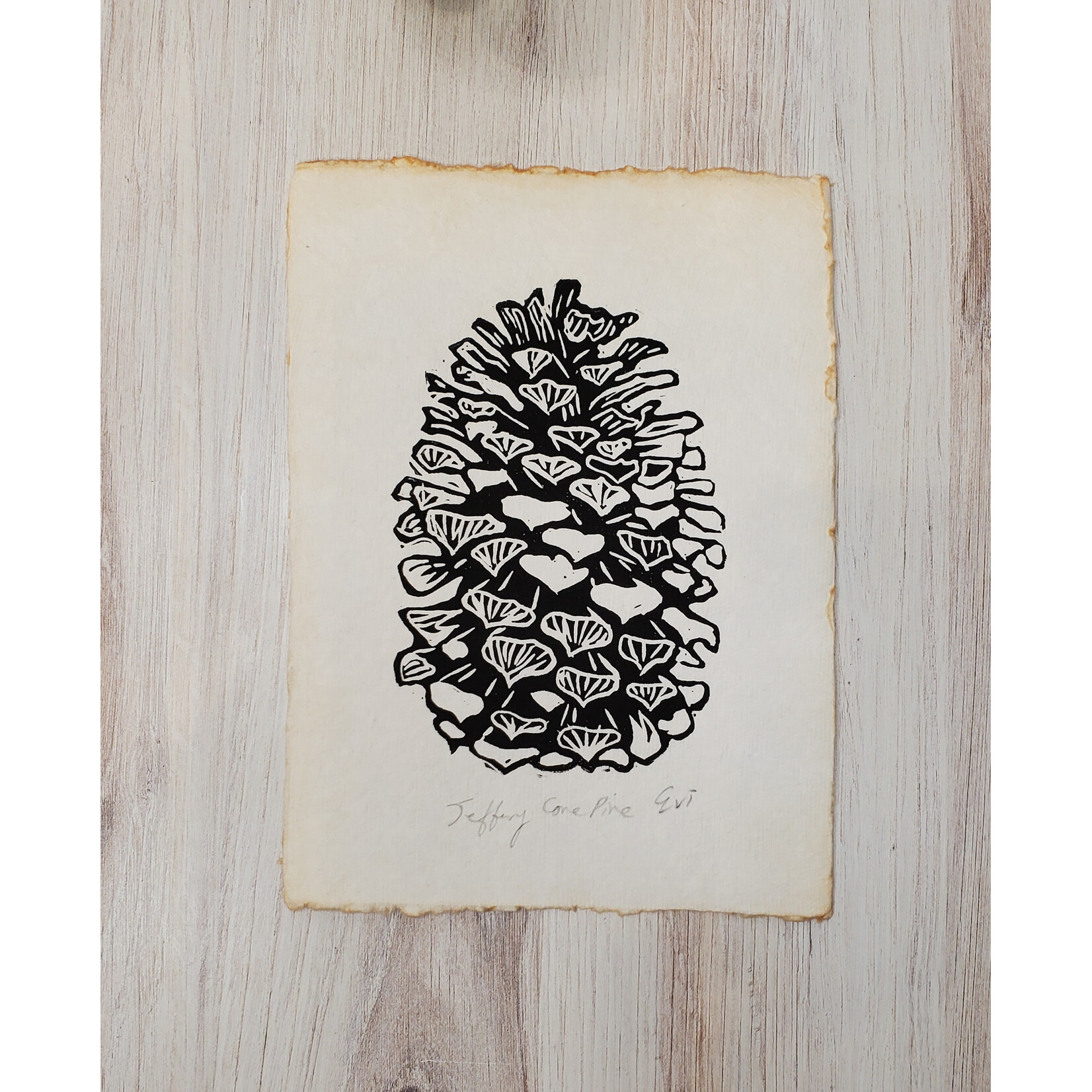 Evi Studio Jeffrey Pinecone Lino Print - on white  6x8.5"