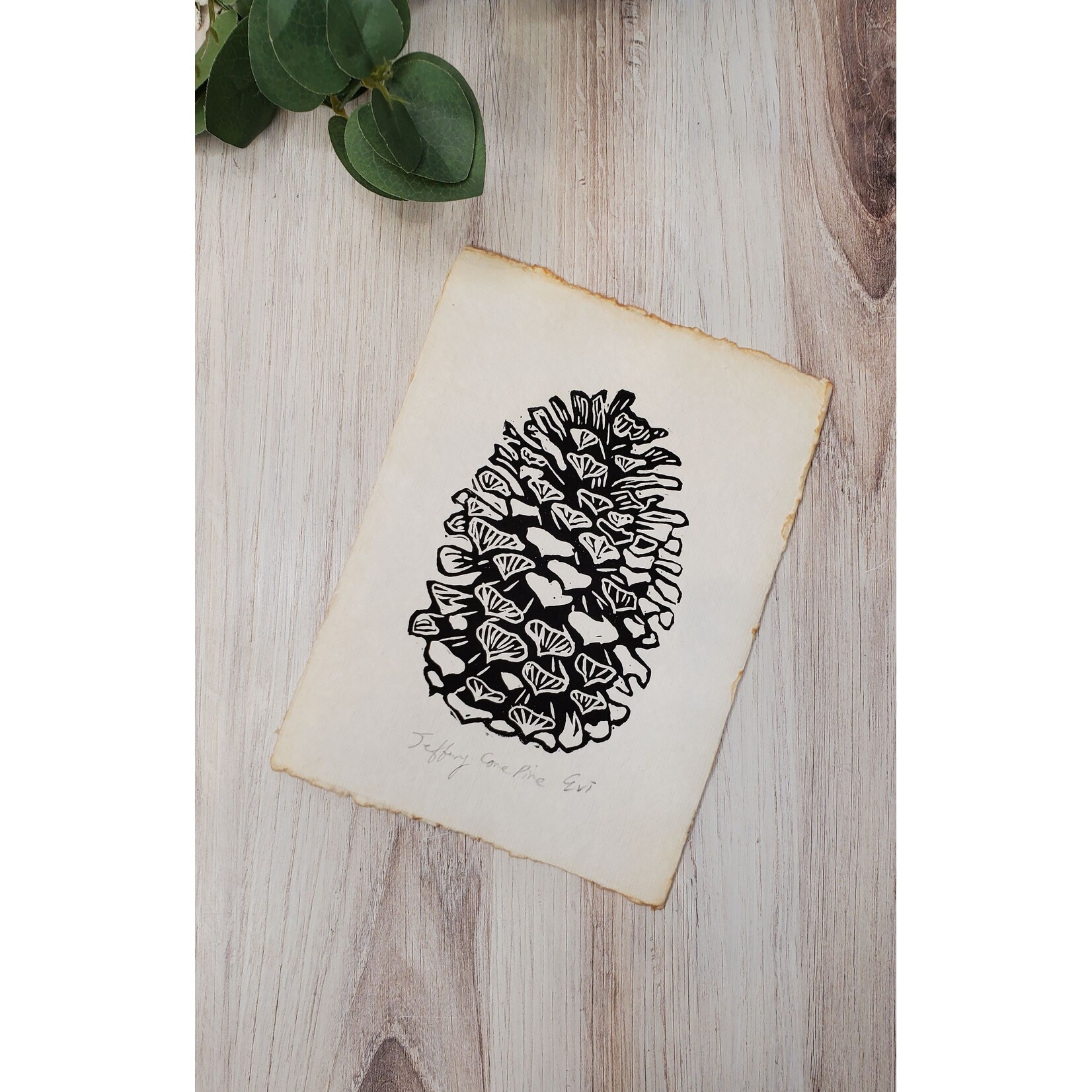 Evi Studio Jeffrey Pinecone Lino Print - on white  6x8.5"