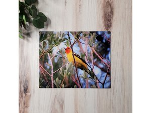 Franny Ramirez-Bryan Photography