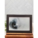 SGT Photography Frozen Bubble Matted Print  - snowflake on bubble