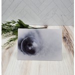 SGT Photography Frozen Bubble  - metal print