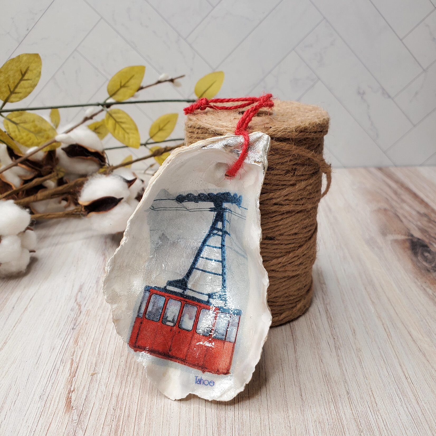 Sue Pemberton Oyster Shell Ski Ornament - Larges -