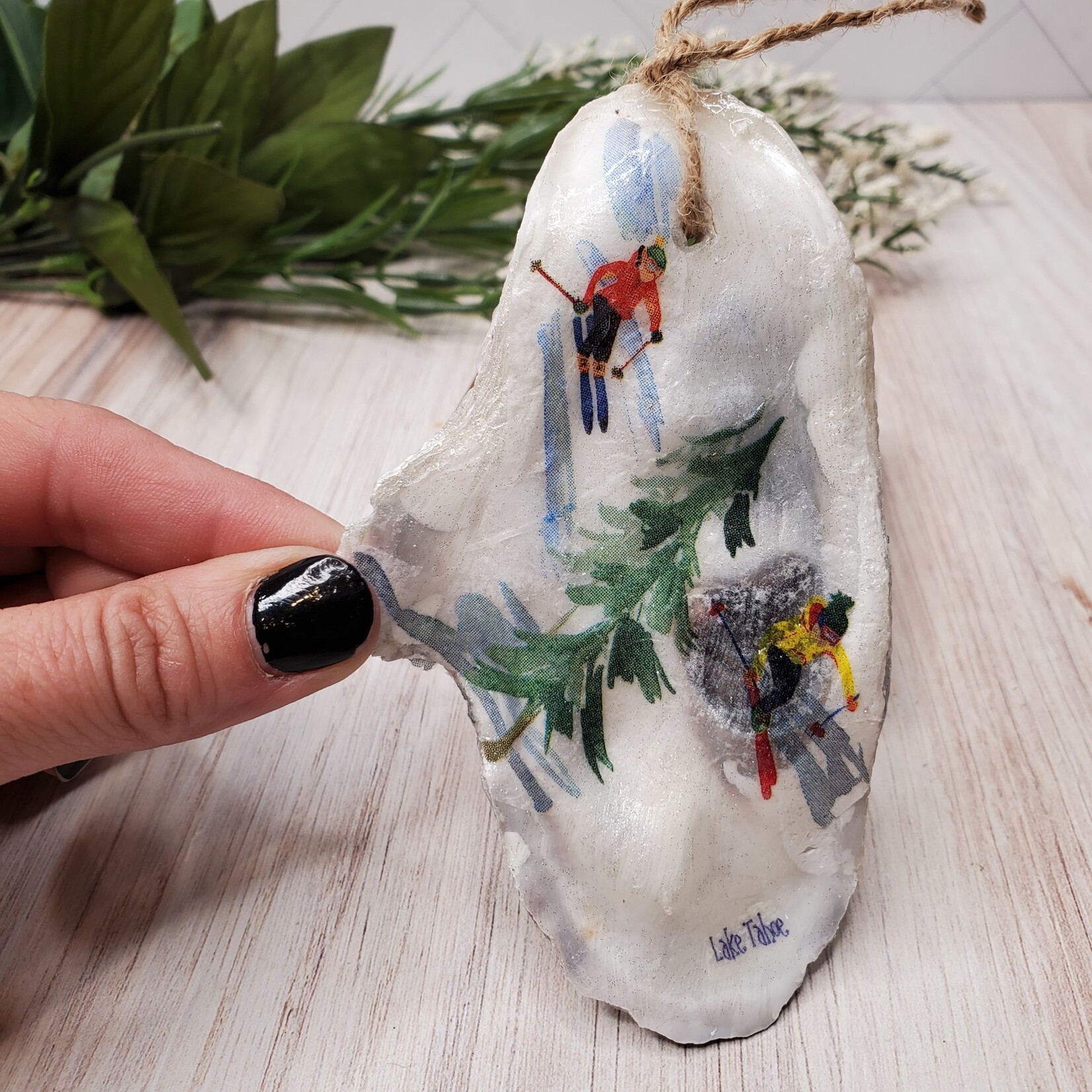 Sue Pemberton Oyster Shell Ski Ornament- Smalls