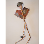 Wings of Wanderlust - "Joy"